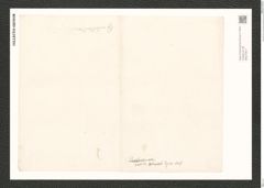 Diatomeae indet. Zeichnungen Sammlung Grunow (NHMW-BOT-W0370817)